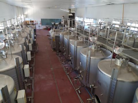 Bodega del Centro de Referencia Nacional de Vinos y Aceites